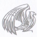 griffin accountants limited