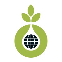 the brazzaville foundation