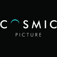 cosmic picture limited