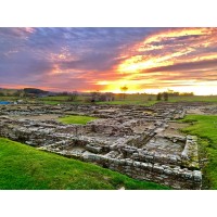 the vindolanda trust