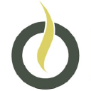 holiday accent limited