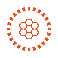 the world bee project cic