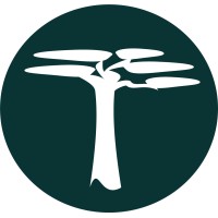 mbuyu capital partners limited