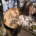 two queen bees limited