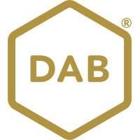 dab fire engineering limited