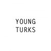 young artists limited