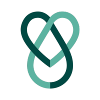 directed systems limited