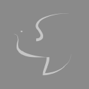 memoria - waveney memorial park ltd