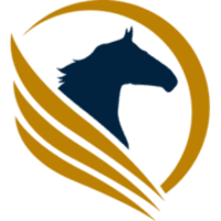 pegasus accountants ltd