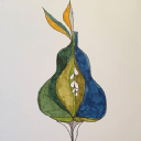 pilates education and research ltd.