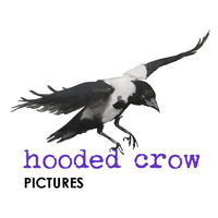 hooded crow pictures ltd