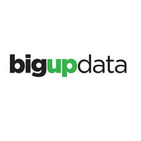 bigupdata ltd
