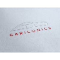 cariconics limited