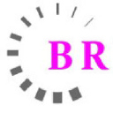 bricks finance limited