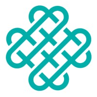 lace partners limited