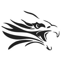 the international centre for birds of prey