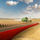 burrwood associates limited