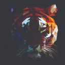 tigerlike events ltd