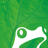 natterjack creative limited