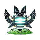 salisbury fc limited