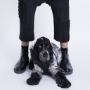 kokoro london limited