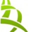 exoro consulting limited