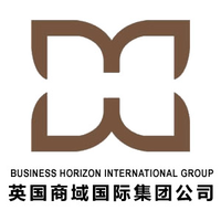 business horizon international group ltd