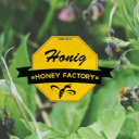 honey voice consultancy limited