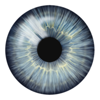 the medical stock images company limited