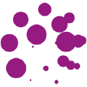 allium environmental limited