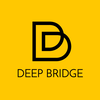 deepbridge limited