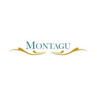 montagu property services london ltd