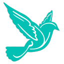 muslim inspire limited