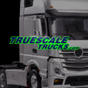 true scale limited