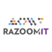 razoom it ltd