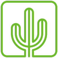 square cactus limited
