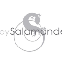 grey salamander ltd