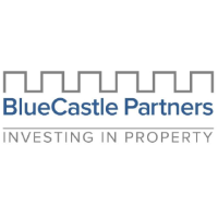 bluecastle partners ltd