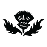 midlothian capital partners limited