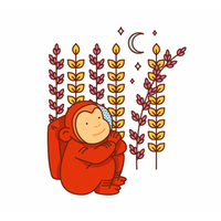 prime 8 digital limited