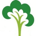 prestolee multi academy trust