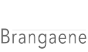 brangaene limited