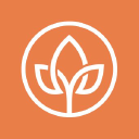 mortgage and finance arena limited