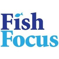 fish focus ltd