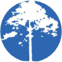 art smile and beauty ltd