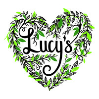 lucy's dressings ltd