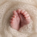 frances stephenson limited