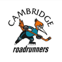 41 cambridge road limited
