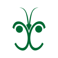 green caterpillar consulting limited