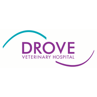 drove veterinary hospital limited